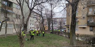 Curățenia de primăvară continuă la Târgu-Jiu. Edilitara: Am ridicat cantități impresionante de vegetație uscată și deșeuri