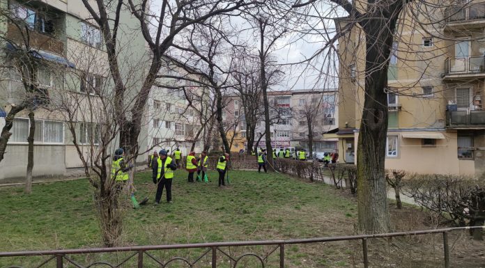 Curățenia de primăvară continuă la Târgu-Jiu. Edilitara: Am ridicat cantități impresionante de vegetație uscată și deșeuri