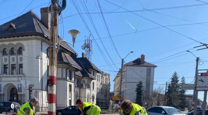 Edilitara: Zeci de mii de flori vor înfrumuseța municipiul Târgu-Jiu