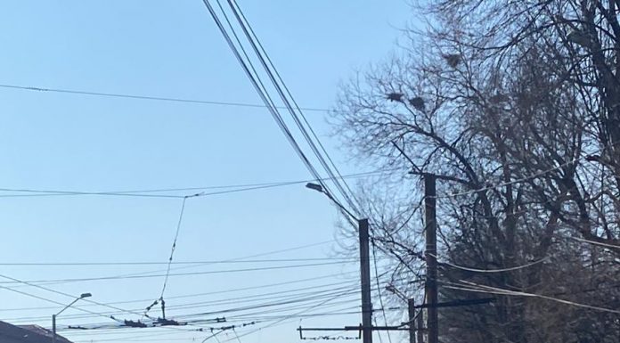 Accident în giratoriul Pieței Mari din Târgu Jiu. Nu sunt victime