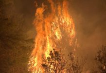 Foto/VIDEO| Prăpăd în Gorj! 800 de hectare mistuite de flăcări, în ultimele 24 de ore