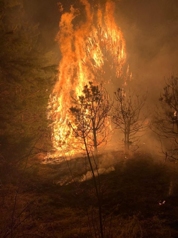 Foto/VIDEO| Prăpăd în Gorj! 800 de hectare mistuite de flăcări, în ultimele 24 de ore