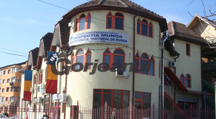 Amenzi de peste 160.000 de lei de la ITM Gorj
