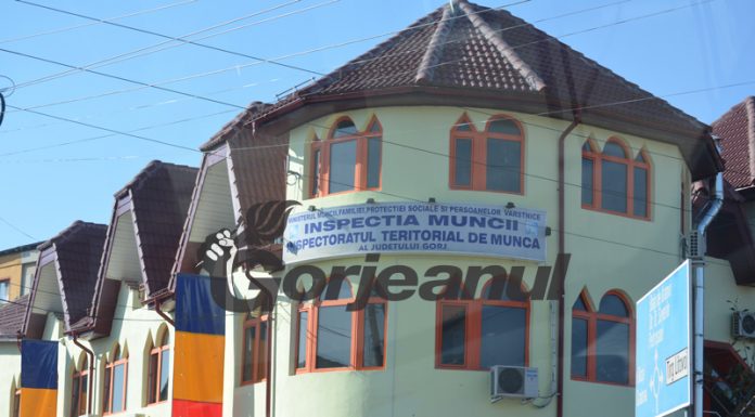 Zeci de angajatori, verificați de ITM Gorj. Amenzi de peste 120.000 de lei