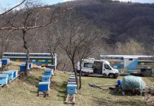 ITP la fața locului. Sprijin pentru fermieri și apicultori