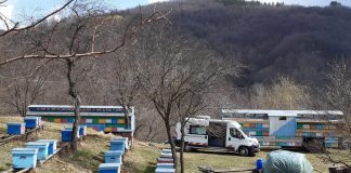 ITP la fața locului. Sprijin pentru fermieri și apicultori