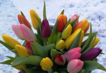 Frumoasele obiceiuri de 8 Martie