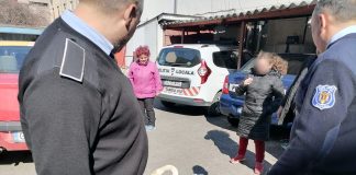 Târgu-Jiu: Lebădă rănită, salvată de pe stradă