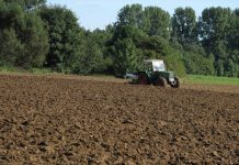 Agricultura pe înțelesul tuturor – Graficul lucrărilor agricole în luna aprilie