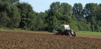 Agricultura pe înțelesul tuturor – Graficul lucrărilor agricole în luna aprilie