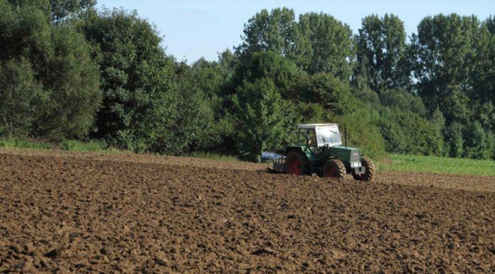 Agricultura pe înțelesul tuturor – Graficul lucrărilor agricole în luna aprilie