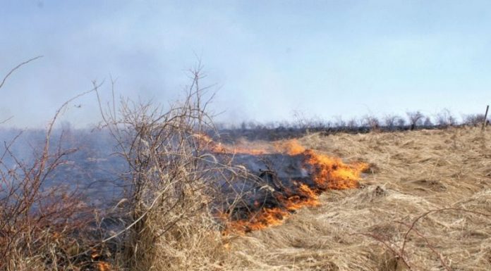Închisoare de la 3 la 5 ani sau amendă uriașă, pentru arderea miriștilor și obiectelor!