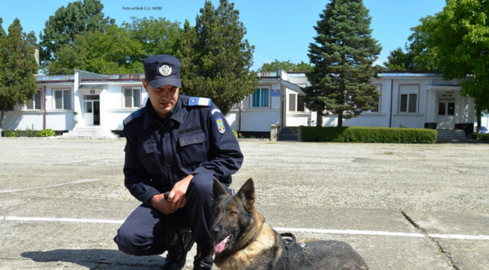 Frumoasa Oloba, camaradul patruped al jandarmilor gorjeni, a ieșit la pensie