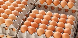 Ouă cu salmonella, vândute în Gorj