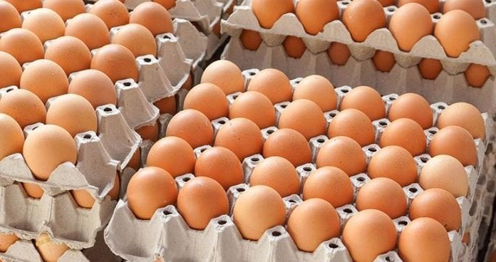 Ouă cu salmonella, vândute în Gorj