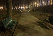 Edilitara: Noi dispozitive pentru a alunga ciorile din Parcul Central