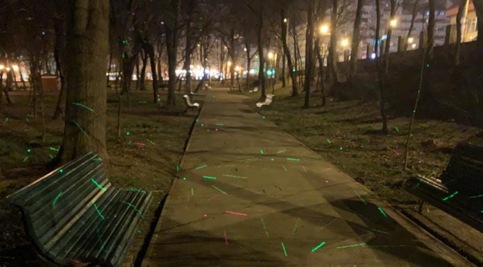 Edilitara: Noi dispozitive pentru a alunga ciorile din Parcul Central