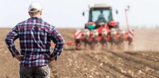 APIA, 200 de milioane de euro pentru fermieri