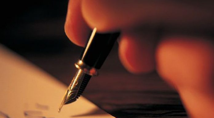 Eseul transdisciplinar