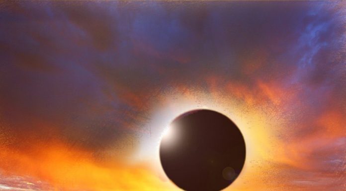 Educaţia… şi Lecţia de viaţă! – Manifestul Partidului Globalist ,,GLOBALIŞTI DIN TOATE ȚĂRILE, UNIȚI-VĂ”!