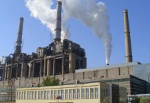 Anunț de la Guvern – CEO își mărește capacitatea de producție!