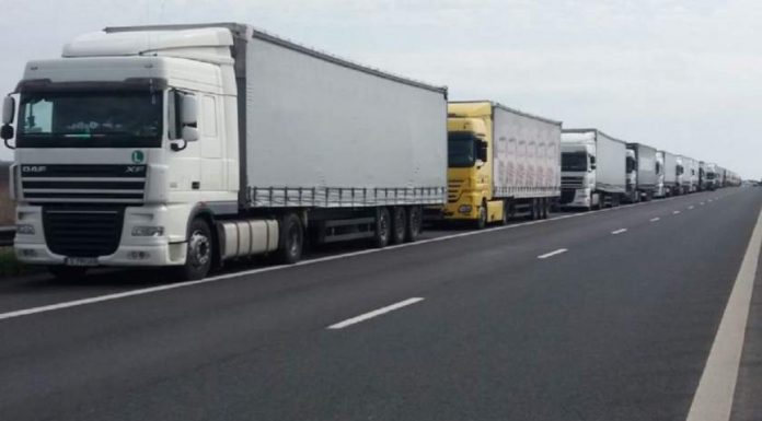 Primele amenzi contestate pentru lipsa PLF. Șofer de TIR, din Gorj, amendat cu 3.000 de lei la intrarea în țară