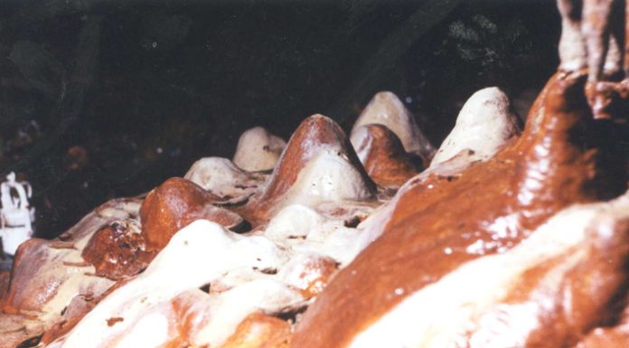 Lumea subterană – (1)