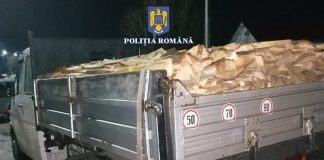 Transportatorii de lemne din Bolboși, Padeș și Ponoarele, amendați de polițiști din Motru și Tismana