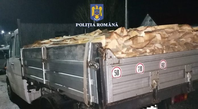 Transportatorii de lemne din Bolboși, Padeș și Ponoarele, amendați de polițiști din Motru și Tismana