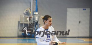 Proiectul CSM atrage: Am simțit că la Târgu-Jiu este o familie