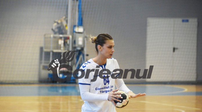 Proiectul CSM atrage: Am simțit că la Târgu-Jiu este o familie