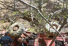 Un bărbat de 36 de ani din Drăgotești, mort la Runcu! S-a răsturnat cu TAF-ul