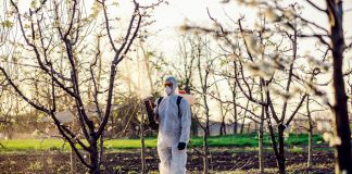 Agricultura pe înțelesul tuturor – Protecția fitosanitară a pomilor fructiferi