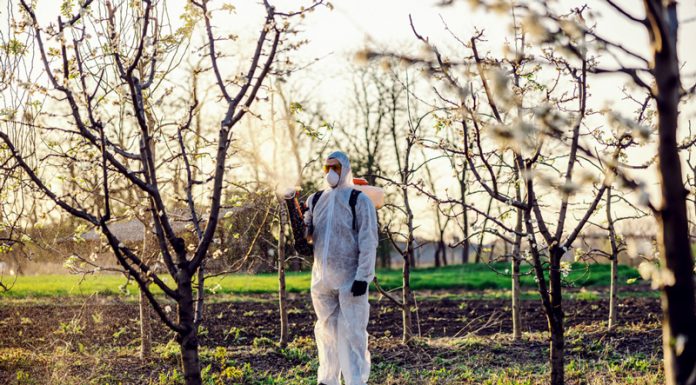 Agricultura pe înțelesul tuturor – Protecția fitosanitară a pomilor fructiferi