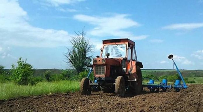 Noile salarii minime din construcții și agricultură