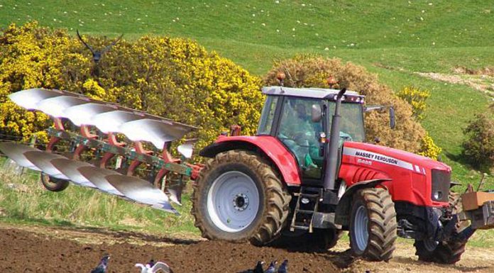 Agricultura pe înțelesul tuturor – Pregătirea patului germinativ în primăvară ploioasă