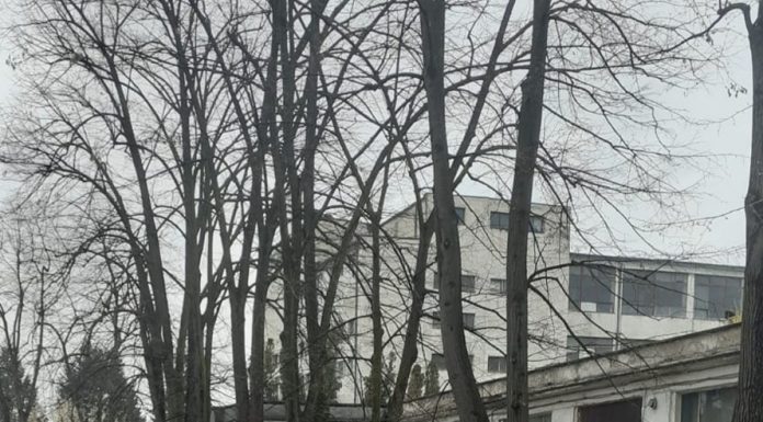 Dezvoltator imobiliar, amendat de polițiștii locali