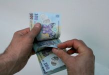 Întreprinderile individuale sau jurnaliștii vor da mai mulți bani la stat