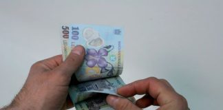 1 Iunie: 3.000 de lei, salariul minim în agricultură și industria alimentară