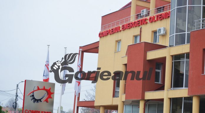 Bugetul CEO, aprobat de Guvern!