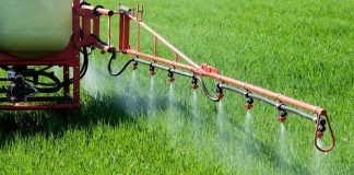 Agricultura pe înțelesul tuturor – Ierbicidarea cerealelor păioase în primăvară ploioasă