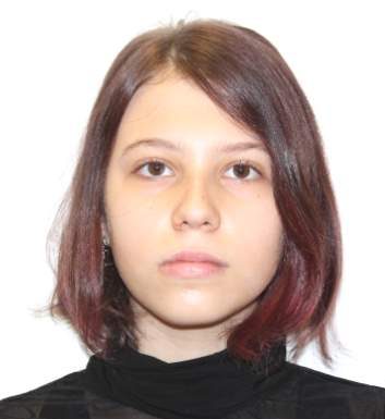 Fata unui șef de Poliție a dispărut fără urmă!