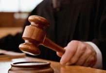 Achitate pentru delapidare de la Direcția Silvică!