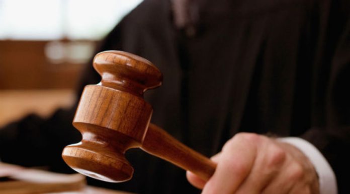 Achitate pentru delapidare de la Direcția Silvică!