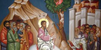 Calea, Lumina, Adevărul şi Viaţa! – Dumnezeu ne arată că în Duminica Floriilor, Împăratul Iisus Hristos intră cu slavă în Ierusalimul pământesc şi Se apropie acum şi de «Ierusalimul» sufletului nostru!