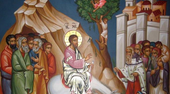 Calea, Lumina, Adevărul şi Viaţa! – Dumnezeu ne arată că în Duminica Floriilor, Împăratul Iisus Hristos intră cu slavă în Ierusalimul pământesc şi Se apropie acum şi de «Ierusalimul» sufletului nostru!