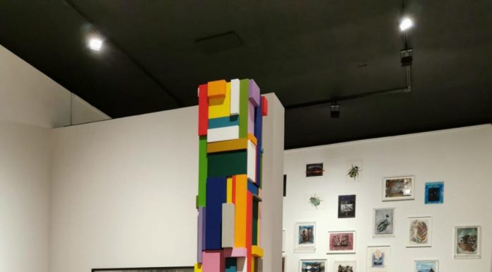 Mihai Țopescu a expus în cadrul Bienalei de la Veneția