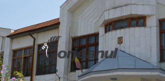 Pedeapsă pentru furt de lemne