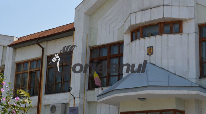 Pedeapsă pentru furt de lemne