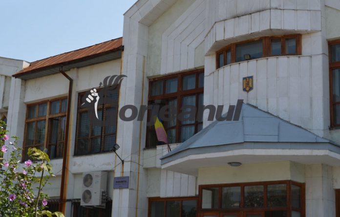 Pedeapsă pentru furt de lemne